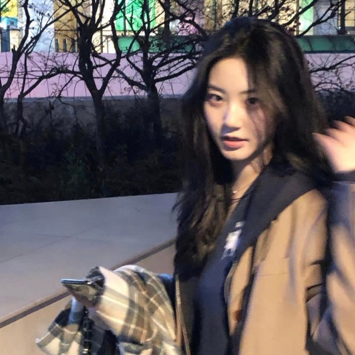 喜爱夜蒲3