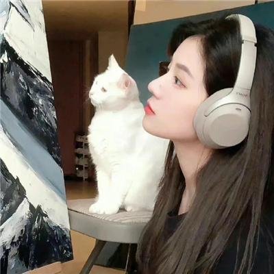 豪赌人生
